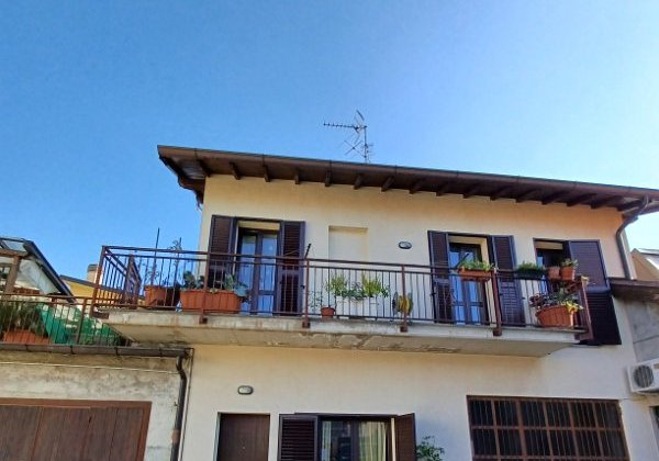 z - Albiate AFF x sito